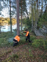 Lauantai 5.10 ja ensimmäinen puu kaatuu.