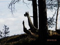 (Maaliskuu -14)